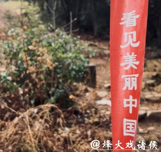 数量翻倍,热门线路很快售罄!“毛孩子旅行团”火了,春节宅家不如出门度假 数量翻倍,热门线路很快售罄!“毛孩子旅行团”火了,春节宅家不如出门度假